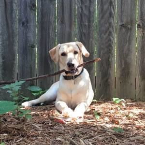 Meet your Posher, Deb